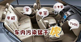 車內(nèi)甲醛正常值以及車內(nèi)放什么東西可以除甲醛？